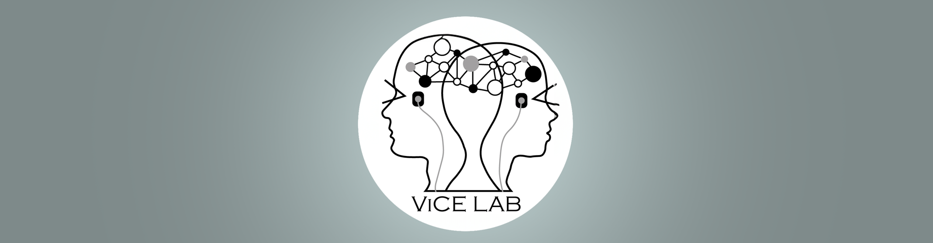Visual Cognition And Emotion Lab