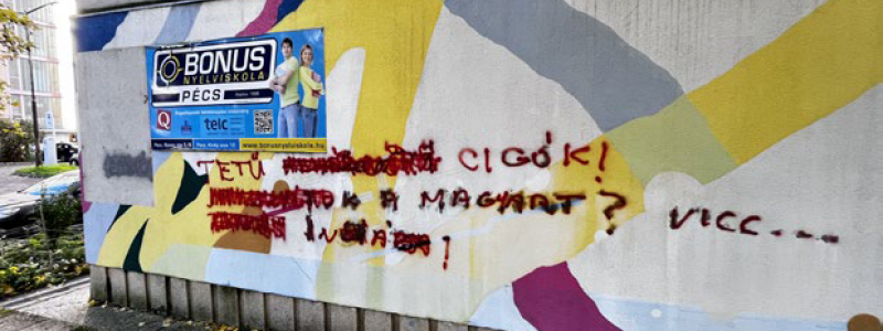 Antirasszista flashmob