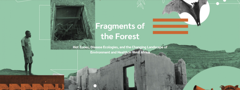 On Fragments and Hotspots: Containment and Care in the Extraction of Mount Nimba