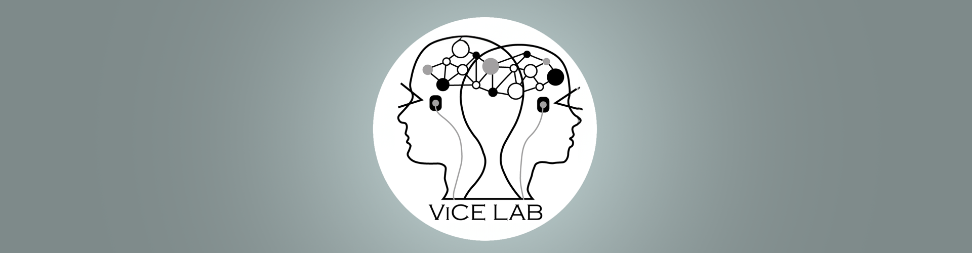 ViceLab header